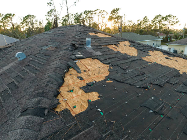 Fast & Reliable Emergency Roof Repairs in Placeholder9